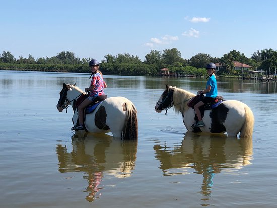 C Ponies Beach Horseback Riding